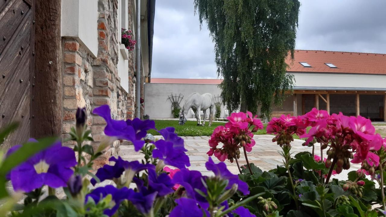 Korn-Hof Aparthotel Kornatice ภายนอก รูปภาพ
